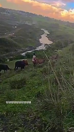 𝕞𝕖 (@meme_dj12)’s videos with original sound - 𝕞𝕖