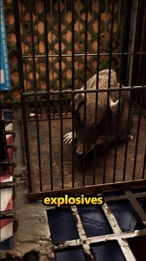 Exploding Rats: The Bizarre WW2 Plan