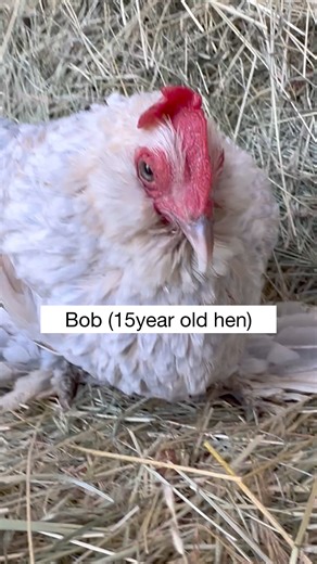 435K views · 22K reactions | Today is the first day of spring. If...