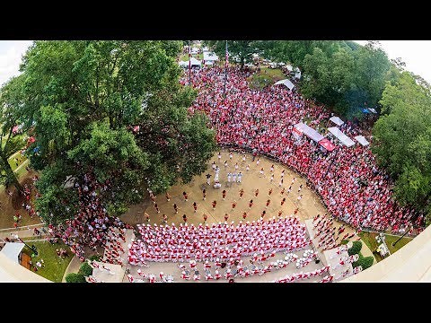 Elephant Stomp | The University of Alabama