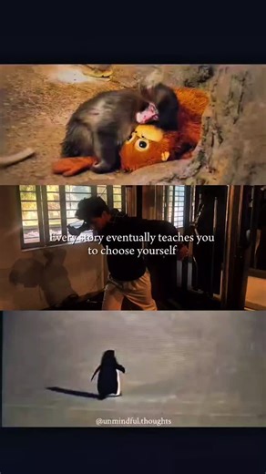 TUSHAR SAINI | Self>Everything . . [Monkey, penguin, story, teach, algorithm, instagram, trending, viral, reels, foryou, yourself, growth, Gym, FYP] . .... | Instagram