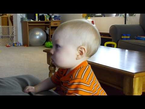 Toby loves Baby Einstein