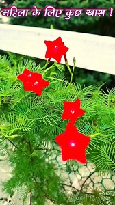 13K views · 73 reactions | #holidayfood, #specialmenu, #seafood, #recovery, #wellness, #weightloss, #healthbenefits, #healthyhabits, #healthandwellness, #health | 100% Herbal Care Tips | Facebook