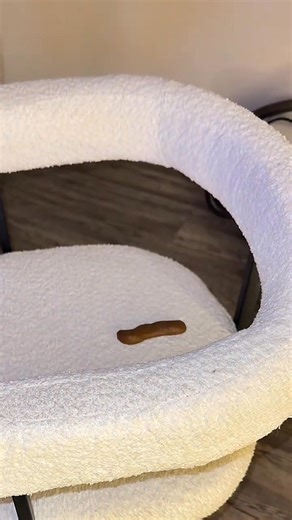 The funniest holiday gift of the year. Perfect for white elephant, parties, and stocking stuffers. Guaranteed laughs — and maybe save someone’s day. | Funny House