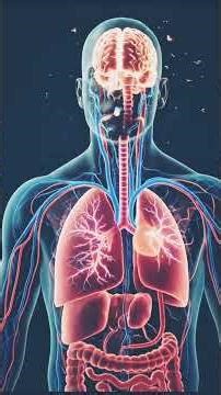 What Really Happens Inside Your Body When You Smoke 🚬 | 3D Medical Animation