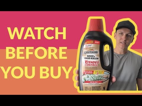 What You Should Know About This Spectracide Weed and Grass Killer