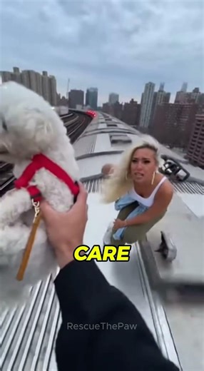 Man Jumps Onto Moving Train to Save a Dog