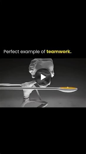 Great results often come from individual brilliance! Winning teams always put in collective effort. This video is the perfect example of what true teamwork looks like: when everyone focuses on a… | Depikka Siingh | 22 comments
