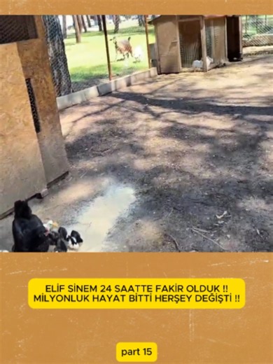 Elif Sinem doğal yaşamda keçilerle AVM anı — kısa komik sahne