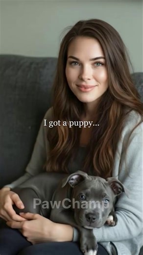 🐶 The ultimate resource to potty train your dog with patience, end accidents, and bring peace back home 🐶 All the essentials in one place for a clean house and a happy dog 🐶 Clear, step-by-step instructions and a progress tracker so you can see your dog’s potty habits improve every day 👉 Click and start building the right potty routine for your dog today 👇 | 28 Day Dog Obedience Challenge