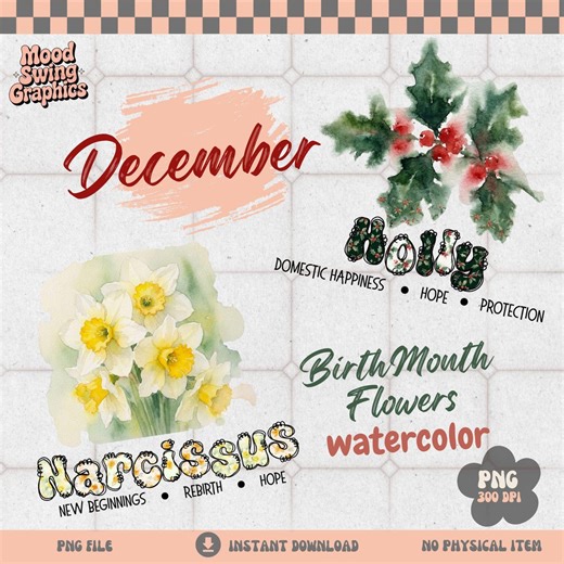 December Birth Flower Bundle PNG, Holly and Narcissus Watercolor, Winter Floral Meanings for Birthday Gift, Digital Download - Etsy