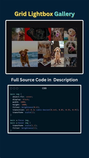 CSS Grid Lightbox Gallery 🔥 Modal Popup with Pure JS