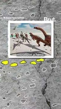 Tens of thousands of dinosaur footprints were discovered on a steep mountainside in northern Italy.