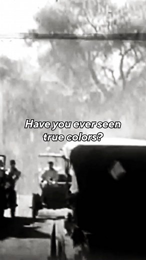 Have you ever seen true colors? With ASUS Lumina OLED — we bring you a display that delivers visual experiences beyond every expectation. #ASUS #InSearchOfIncredible #ISOI2023 #reelsindia #reelstrending #reelsinstagram #Reelitfeelit | ASUS