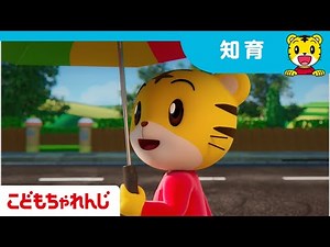 どのいろが好き？| 色を学ぶ|子どもの歌 | しまじろうチャンネル公式