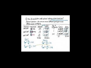 How mutation and natural selection drive evolution