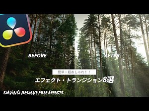 8 Cool Effects and Transitions You Can Use with the Free Version of DaVinci Resolve