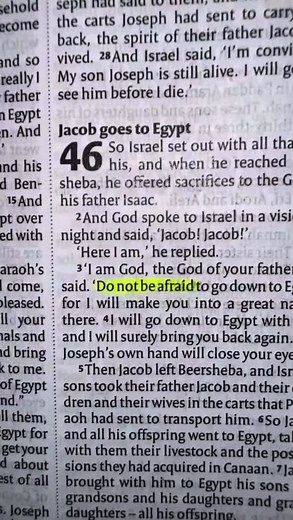 Do Not Be Afraid: Finding Comfort in God's Word