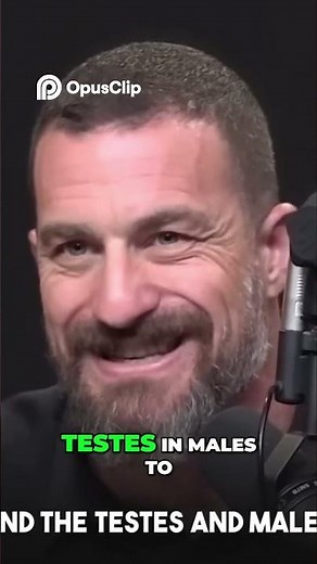 Unlocking Hormonal Balance_ The Power of GNRH and LH!