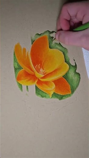 Drawing A Tattoo Flash