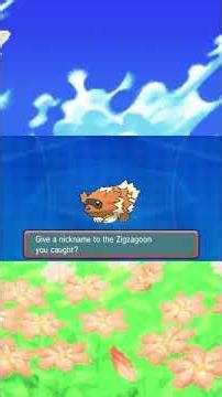 I Found and Caught a SHINY Zigzagoon in Pokemon Omega Ruby #shinypokemon #shorts