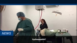 6.9K views · 118 reactions | One of our amazing corporate partners, Greencross Vets, has been helping us complete some much needed desexing procedures on our shelter animals so they can find their forever homes! Last week, they were able to help us desex 49 animals in one day at our Hunter Shelter! Great job team! | RSPCA NSW | Facebook