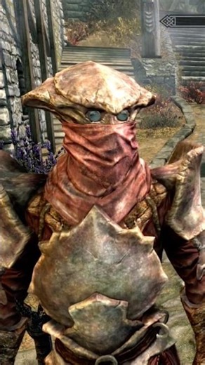Skyrim-Iron Vs Chitin Armor Visual