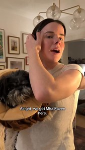 All fresh and clean for our foster’s first night home 🥹 @muddypawsrescuenyc @nycacc To follow Raven’s journey, follow @simonsits! #dogsofinstagram #rescuedogsofinstagram #rescuedog #fosterdog #shelterdog | Simon Sits