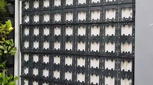 Toàn cảnh cách thức lắp chậu cây Module vào khung với hệ thống tưới...