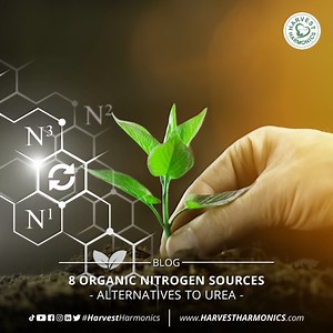 7 Organic Nitrogen Sources – Alternatives to Urea - Harvest Harmonics