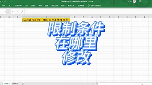 Excel操作技巧：限制条件在哪里修改