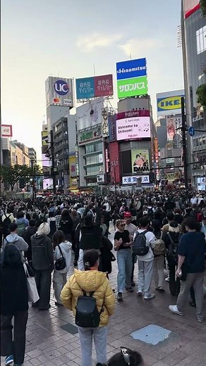 A Travessia Mais Famosa do Mundo! Shibuya Crossing em Tóquio ShibuyaCrossing #Tokyo #Japão