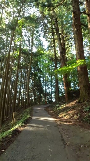 Japan Summer Hike POV