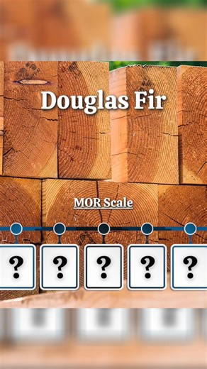 Which Wood Is Strongest For Trailers? #minnesota #moramn #TrailerDecking We compare various types of wood for utility trailer applications, focusing on their strength and durability. This video explores the properties of different lumber options, such as Douglas Fir and balau, ideal for trailer decking. Learn how to select the best wood for your next woodworking project and ensure long-lasting performance for your timber. | K & J Lumber Products | Facebook