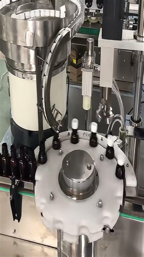 Perfect Bottle Capping Every Time | Rotary Capping Machine