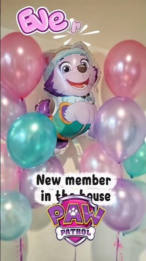 Paw Patrol Everest Balloon - Latest Arrival for the Birthday Party
