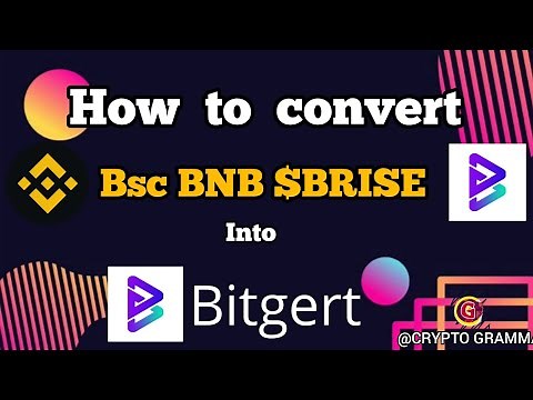 📢How to convert BSC $BRISE into BRC20 Bitgert MAINNET and how to buy $brise tokens #brise #bitgert
