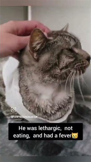 Huddles surgery went well