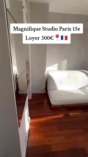 Magnifique Studio Paris 15e Loyer 300€📍🇨🇵 Intéressé WhatsApp sur ma Biographie 🇨🇵 📍 #alouer #logement #guadeloupe