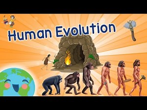 Evolution from ape to man. From Proconsul to Homo