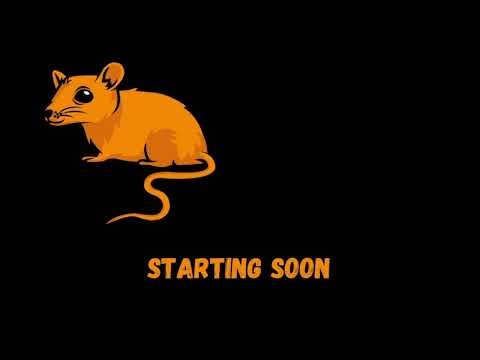 DJ Mouse | PC | A mouse dropping tunes LIVE
