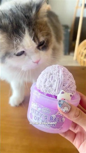 Animals React to Slime 🐾