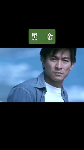 1997•刘德华&梁家辉&吴辰君•黑金
