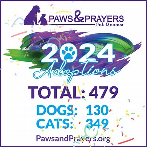 Paws and Prayers Pet Rescue on Reels
