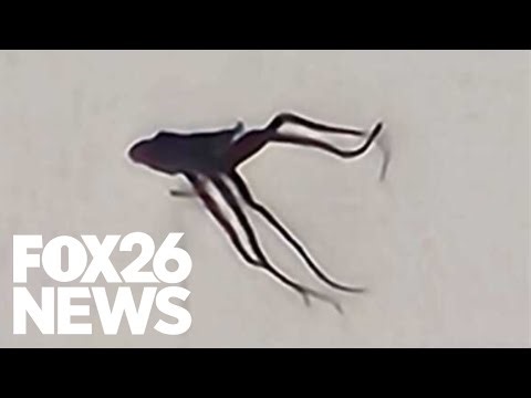 Creepy alien-looking object seen flying in Central California