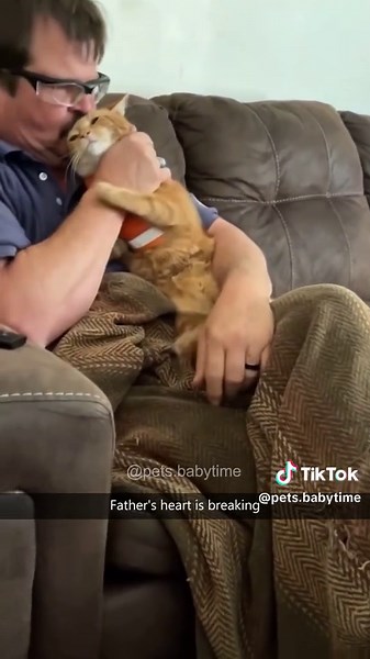 Cat barf🤣🤣#foryou #fyp #fypシ #funny #funnyvideos #funnyvideo #cat #cats #cutecat #catsoftiktok #catlover #funnycat #funnytiktok #funnyanimal #kitty