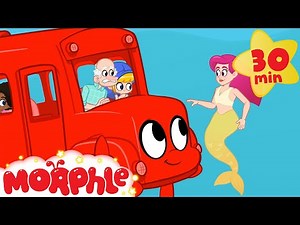 Morphle's Underwater School Trip | Fun Animal Cartoons | Kids Videos | Learning for Kids