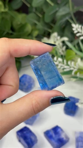 1.4K views · 42 reactions | Here’s a gem you don’t see everyday… Blue...