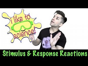 Stimulus/Response Reactions