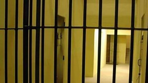 Las Vegas Bestiality Horror: Woman Has Sex With Pet Dog Multiple Times in US, Arrested As Cops Uncover Over 150 Videos of Abuse | 🌎 LatestLY